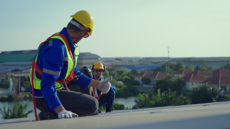 Best Roof Inspection  in , AZ